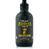 Chaga Double Extract 120ml