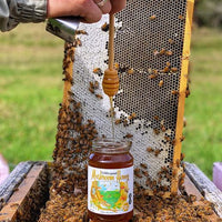 Reishi Mushroom Honey 375g