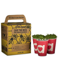 Bee Pollination Grow Kit