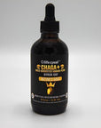 Chaga Double Extract 120ml