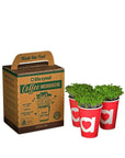 Alkaline Greens Grow Kit