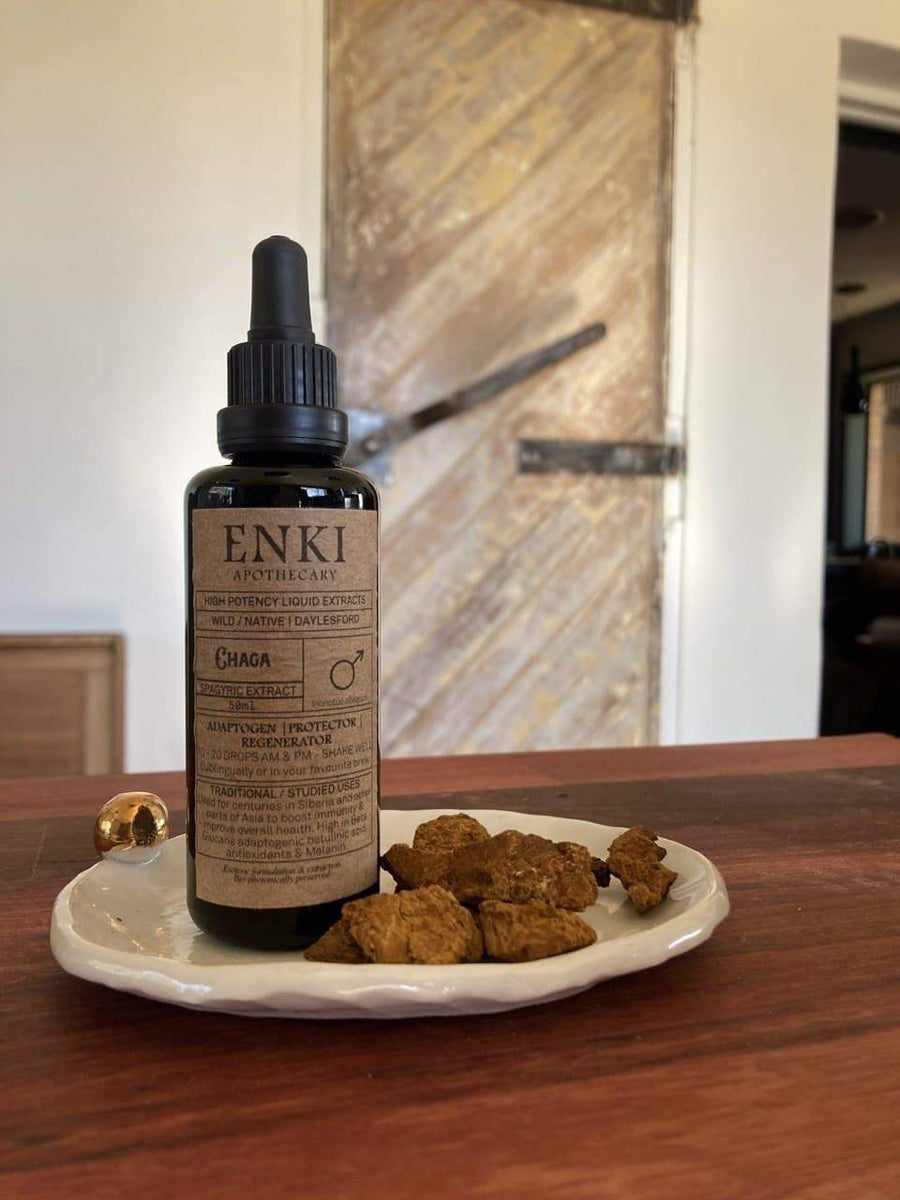 ENKI: Chaga 50ml