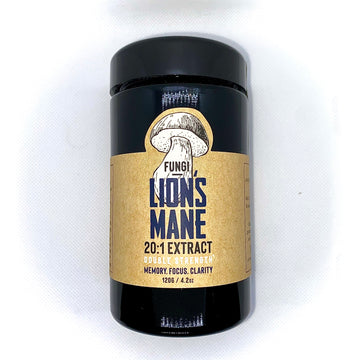 FUNGI Lion's Mane 20:1 Extract Powder